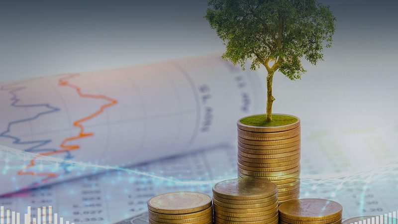 企业管理咨询师认证：解锁职业发展的金钥匙**
